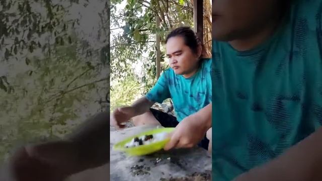 Beginilah Jadinya Kalo Kamu Makan sama ayam - jadi marah