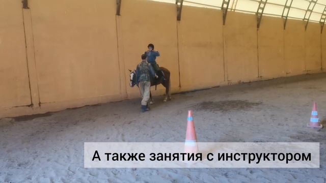 Учим не только свою лошадку, но и сами🤗