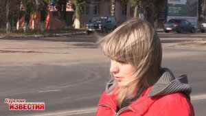 В Курске лось разбил лобовое стекло машины