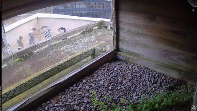 Camera 6 - 12/29/23 смотреть онлайн