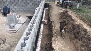 Теплица для цитрусов и экзотов , Стройка 1 часть