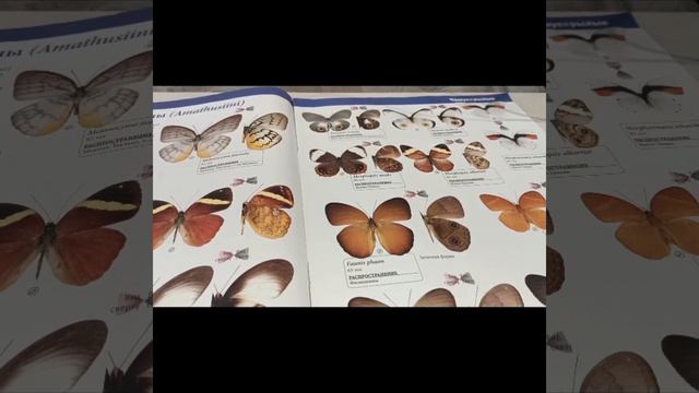 Обзор журнала настоящие насекомые номер 37 смотреть онлайн