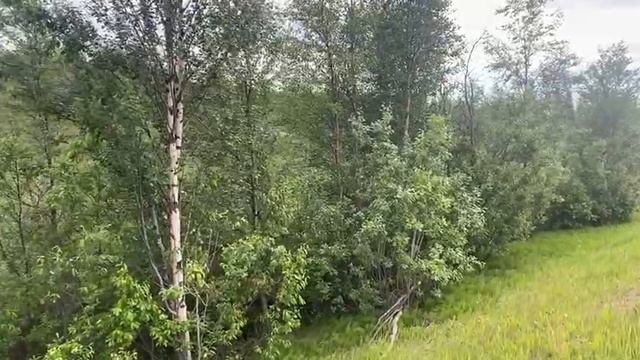СЕКРЕТ ПОЛУЧЕНИЯ.