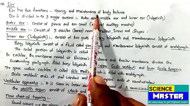 Neural control and coordination in Malayalam | part3 | plusone zoology | science master | смотреть онлайн