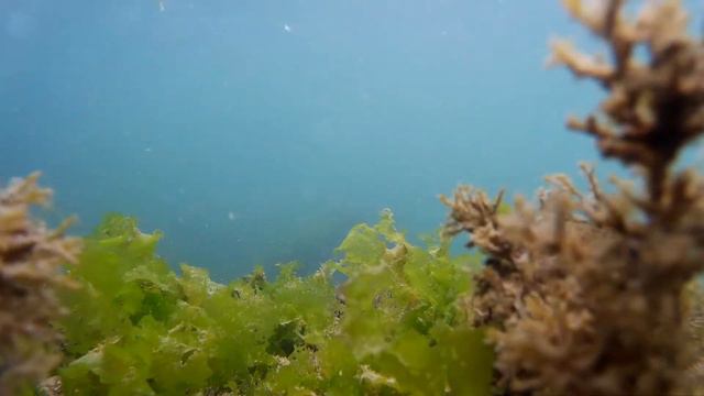 Relaxing Meditation Music with Ocean смотреть онлайн