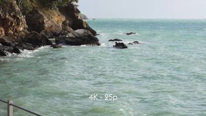 Sony A7 IV | Full Frame 60p HD Good Enough? 4K V HD