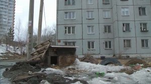В Красноярске бродячая собака укусила двухлетнего ребенка