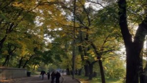 "Клен ты мой опавший "