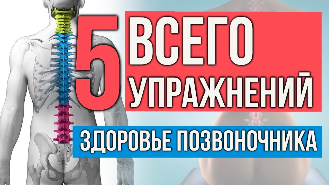 5 упражнений для здорового позвоночника - просто делай их 3 раза в неделю