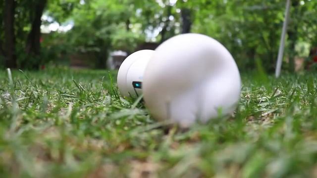 Cheerble Wickedbone смотреть онлайн