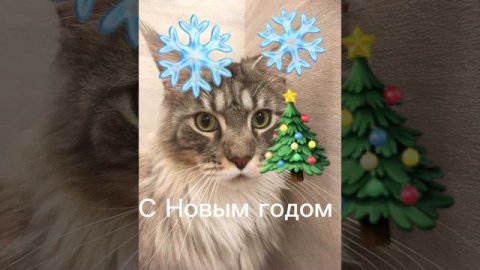 Новогодние видео