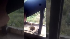 Оконный проем на чердаке,