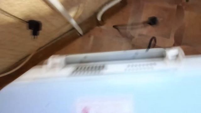 Пирожки с щавелем. Тесто готовлю в хлебопечке, щавель режу в чоппере