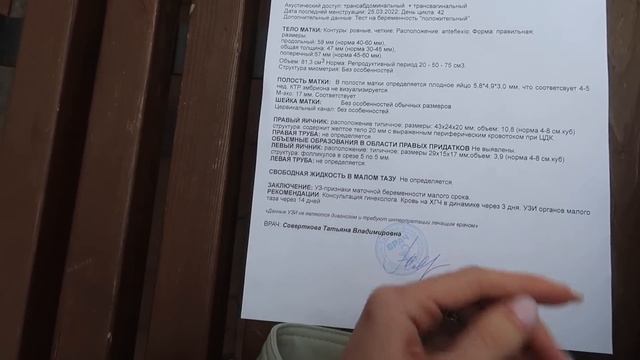 МОЙ 1 ТРИМЕСТР: Реакция Родителей На Беременность
