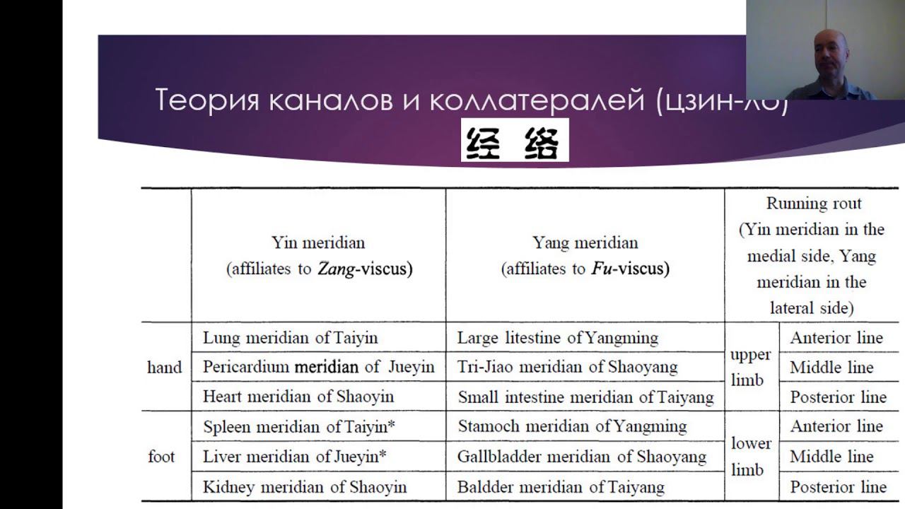 Гоголь И.А. Базовая теория традиционной китайской медицины. смотреть онлайн