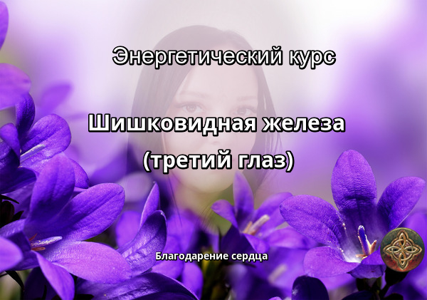Энергетический курс ШИШКОВИДНАЯ ЖЕЛЕЗА (ТРЕТИЙ ГЛАЗ)