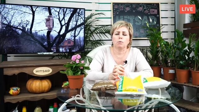 Подкормка садовых культур ? Схема внесения удобрений по месяцам.  прямой эфир Хитсад ТВ