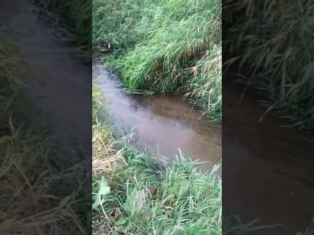 23 сентября 2022 г. смотреть онлайн