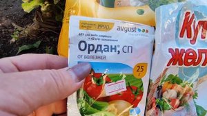 Чем обработать землю в розарии перед укрытием роз?Железный купорос и Карбамид для обработки грунта