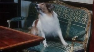 ВНЕ ЗОНЫ КОМФОРТА