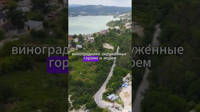 Самый дешёвый отдых в красивейшем месте смотреть онлайн