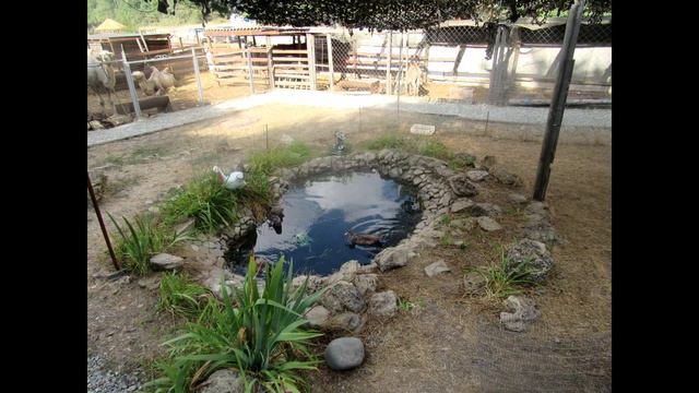 ЧУТЬ НЕ ЗАХЛЕБНУЛАСЬ!!?/ПОЕЗДКА НА КОНЕ!❤️ смотреть онлайн