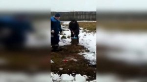 Разрубил мужик баллон монтажной пены топором. Смешно до слез.