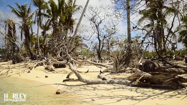 Tetiaroa - Paradise on earth by Horley Photography смотреть онлайн