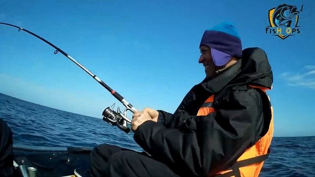 Рыбалка в море | Тюлень хотел утащить спиннинг | Ловля трески. смотреть онлайн
