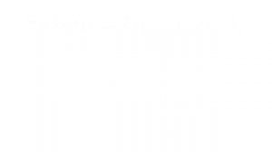 15 НАИБОЛЕЕ УПОТРЕБЛЯЕМЫХ СЛОВ И ВЫРАЖЕНИЙ В ДИГОРСКОМ ЯЗЫКЕ