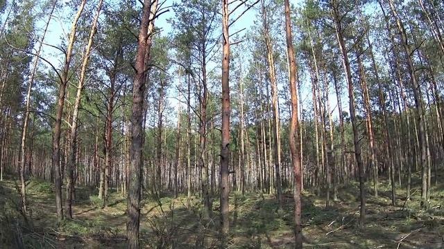 БАБКА ГРЭННИ ПРЕСЛЕДУЕТ НАС в ЗАБРОШЕННОЙ ДЕРЕВНЕ! GRANNY против СИРЕНОГОЛОВЫХ!  юсшоу