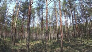 БАБКА ГРЭННИ ПРЕСЛЕДУЕТ НАС в ЗАБРОШЕННОЙ ДЕРЕВНЕ! GRANNY против СИРЕНОГОЛОВЫХ! // юсшоу