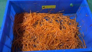 Нарезка моркови по корейски - Vega Carrot Shredder 500