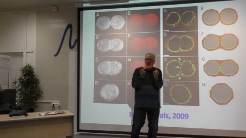 Владимир Миронов «Технология биофабрикаций. Как напечатать человеческий орган?». Лекция третья