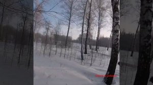 Охота на зайца! Новосибирская область