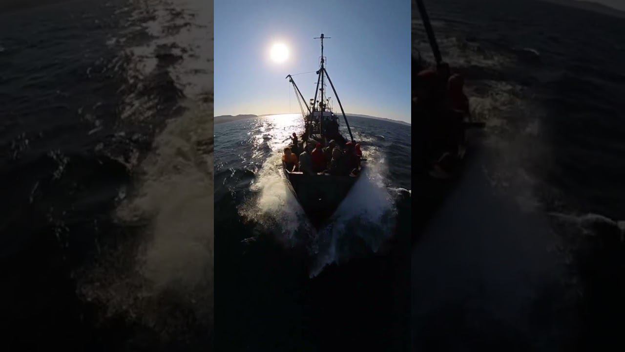 Путешествие начинается! Отдать концы! смотреть онлайн