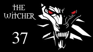 The Witcher / Ведьмак - Остров Виверн - Прохождение игры на русском [#37] | PC (2016 г.)
