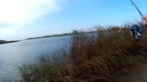 Р.Неман. Поиск леща! г.Советск Калининградской обл.