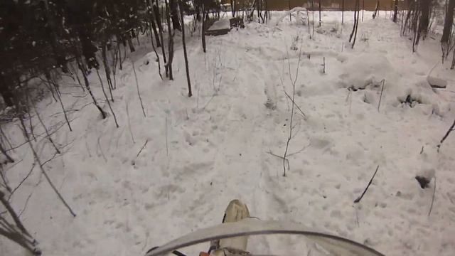 по лесу зимой смотреть онлайн