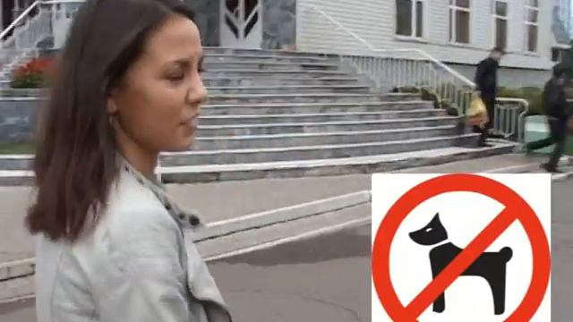 Регина. Добежать до радуги Поздравление друзей