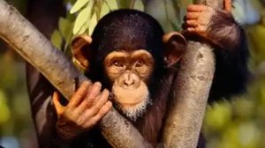 Не красавец я конечно