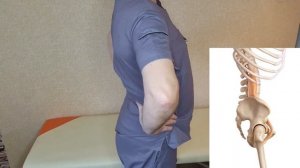 ПОЧЕМУ БОЛИТ ПОЯСНИЦА У ДАЛЬНОБОЙЩИКОВ: ЭФФЕКТИВНЫЕ УПРАЖНЕНИЯ ОТ БОЛИ В СПИНЕ