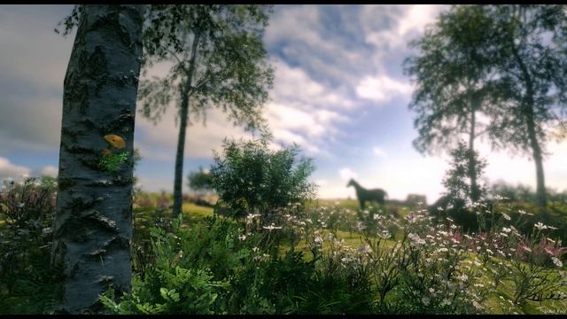 11 апреля Марков день. Праздник березы. Сегодня загадайте желание около березы! смотреть онлайн