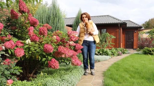 Сад Людмилы Кудасовой, выпуск 1: гортензии смотреть онлайн