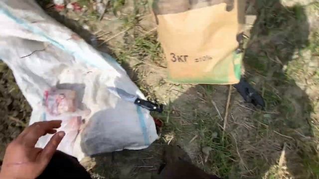 Рыбалка Кизляр сазан на нересте