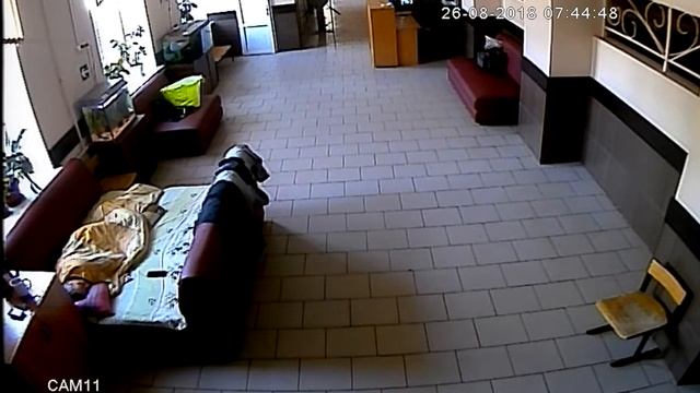 Охранник школы. Вот эта работа! смотреть онлайн