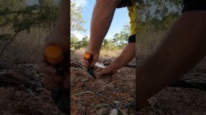 Minelab Gold Monster 1000