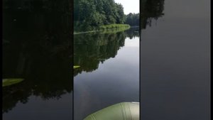 Река Суворощь просто отдых