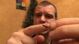 Вяжем обманки на хариуса правильно вяжите мухи на ленка и хариуса согласно природе в лесу