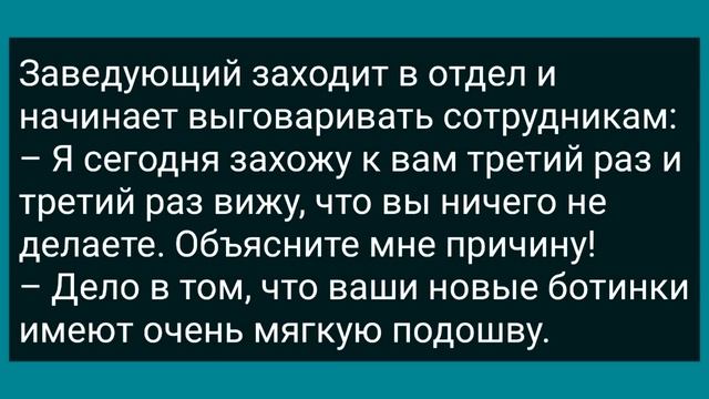 Мужик в Ванной Полюбил Соседку! Сборник Свежих Анекдотов! Юмор! смотреть онлайн